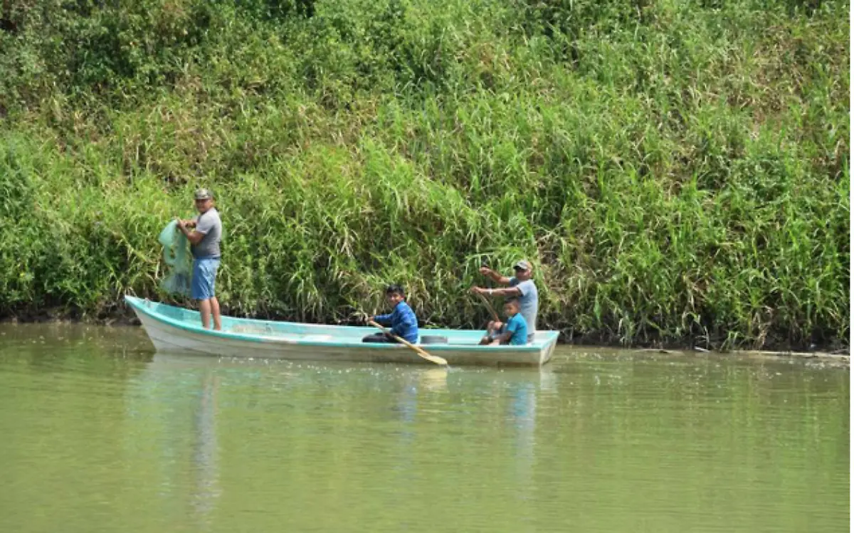 Productores pecuarios y agricultores temen a la salinidad